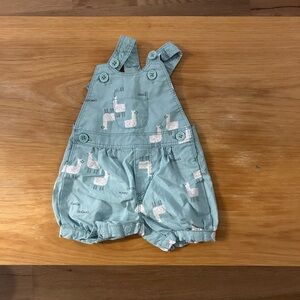 Baby Mint Green Overalls with Llama Print